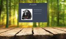 AVECRM